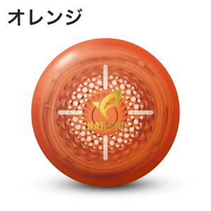 グラウンドゴルフ 羽立工業 HATACHI ハ...の詳細画像5
