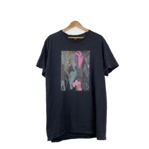 STUSSY◆Tシャツ/ALL GONE/L/コットン/BLK