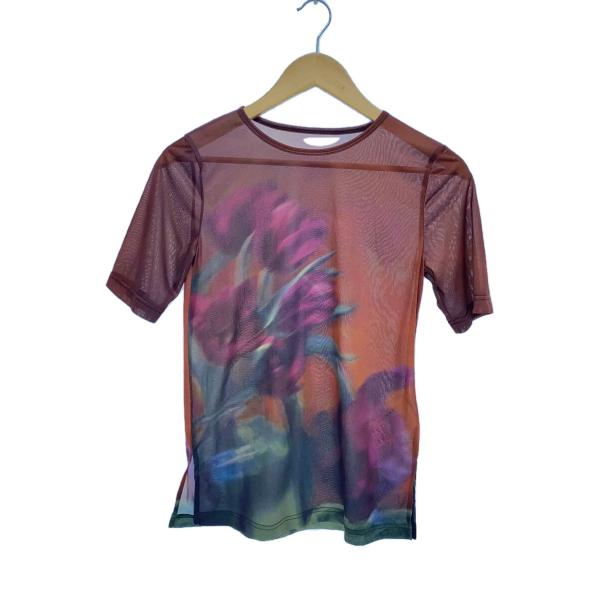 AMERI◆シアー素材/半袖カットソー/FREE/ポリエステル/BRW/02210391220