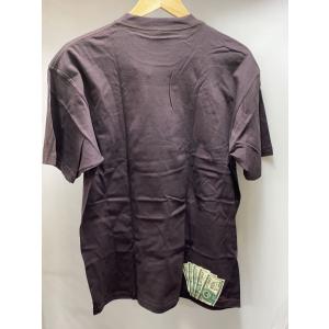 STUSSY◆Tシャツ/L/コットン/BRW/...の詳細画像1