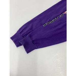 STUSSY◆長袖Tシャツ/L/コットン/PUP//の詳細画像5