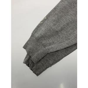STUSSY◆長袖Tシャツ/L/コットン/GR...の詳細画像4