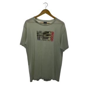 STUSSY◆90s/OLD STUSSY/紺タグ/フォトプリント/USA製/Tシャツ/L/コットン/GRN/? NULL ?