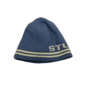 STUSSY◆Jaquard Stripe Skullcap/ニットキャップ/FREE/アクリル/BLU/メンズ/1321098//