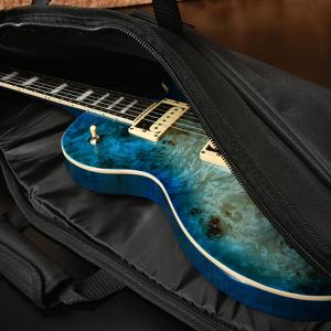 Bacchus バッカス ED-10 Guit...の詳細画像3