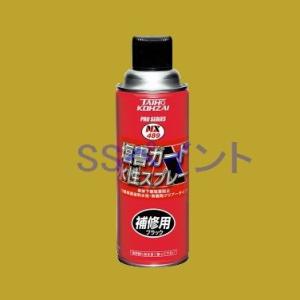 イチネン　NX489　塩害ガード 水性スプレー　ブラック　420ml｜sspaint