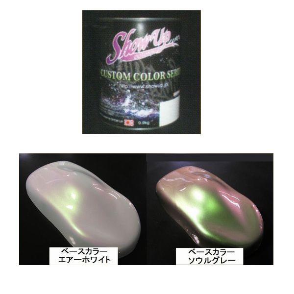 SHOW UP　V PEARLS　Vパール　SUP-03　0.9kg