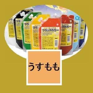 ターナー色彩　水性絵具　フラッグカラー　色：うすもも　200ml｜sspaint