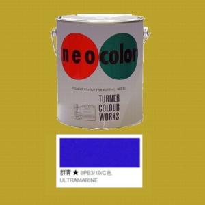 ターナー ターナー色彩 ツヤ消し水性絵具 ネオカラー 色：黄緑 600ml