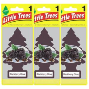 Little Trees リトルツリー フレッシュナー 釣り下げ式 Blackberry Clove ブラックベリー 3枚セット USDM 芳香剤｜sssm