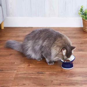 アドメイト(ADD.MATE) 猫用食器 ヒゲがあたりづらく食べやすい猫用脚付き食器 マゼランブルー