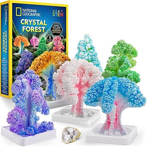 NATIONAL GEOGRAPHIC Craft Kits for Kids ー Crystal ...