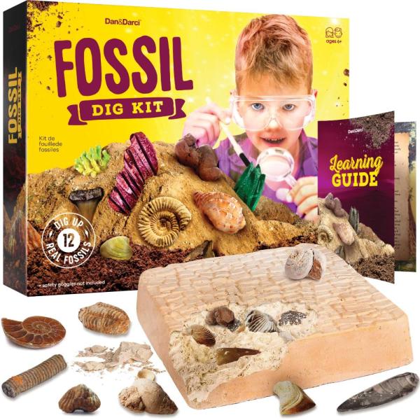 Real Fossil Dig Kit for Kids ー Mega Science Kits f...