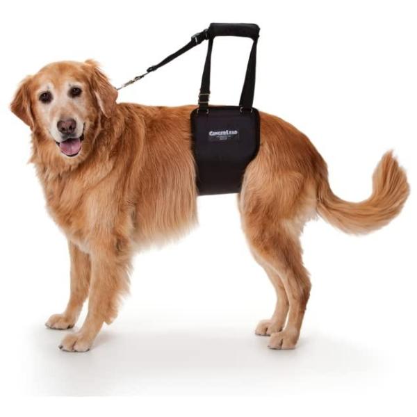 GingerLead Dog Support &amp; Rehabilitation Harness ー ...