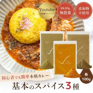 カレー粉 パウダー 無塩 無添加 カレー スパイス セット 3種×100g スパイスカレー ( クミンパウダー ターメリックパウダー コリアンダーパウダー  ） インド