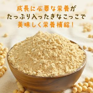 きな粉 子供 鉄分 カルシウム パウダー きな...の詳細画像4