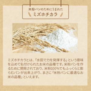 米粉 パン用 ミズホチカラ 2kg×2袋(4k...の詳細画像5