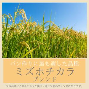 米粉 パン用 ミズホチカラ 880g、2kg ...の詳細画像3