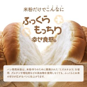 米粉 パン用 ミズホチカラ 880g 米粉 国...の詳細画像4