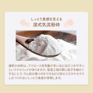 米粉 パン用 ミズホチカラ 880g 米粉 国...の詳細画像5
