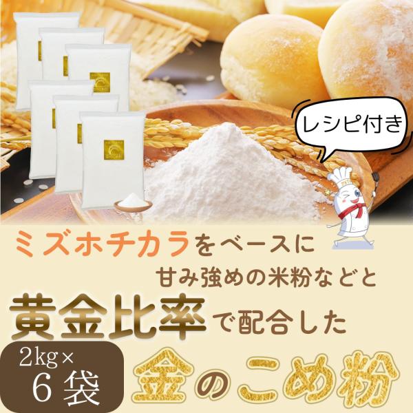 パン用米粉 2kg×6袋 金の 米粉 ミズホチカラ オリジナルブレンド 国産 製菓用