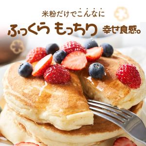 米粉 パンケーキ ミックス 5袋×100g ホ...の詳細画像1