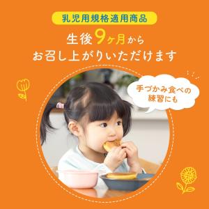 米粉 パンケーキ ミックス 5袋×100g ホ...の詳細画像3