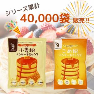 米粉 パンケーキ ミックス 5袋×100g ホ...の詳細画像2