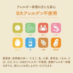 米粉 パンケーキ ミックス 5袋×100g ホ...の詳細画像5