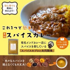 カレー粉 無添加 スパイス カレー パウダー ...の詳細画像1