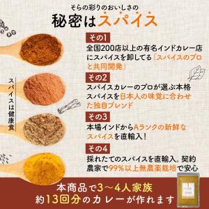 カレー粉 無添加 スパイス カレー パウダー ...の詳細画像2