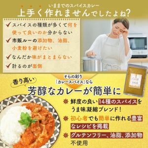 カレー粉 無添加 スパイス カレー パウダー ...の詳細画像3