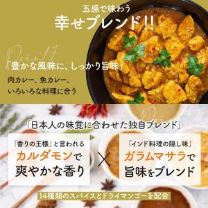 カレー粉 無添加 スパイス カレー パウダー ...の詳細画像4