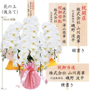 胡蝶蘭 お祝い 開店祝い ギフト 5本立ち 高...の詳細画像5