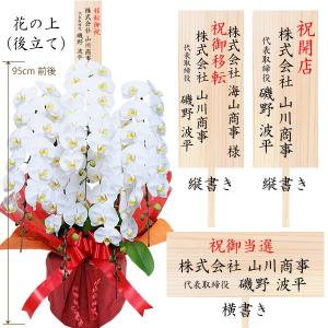 胡蝶蘭 お祝い 開店祝い ギフト 5本立ち 大...の詳細画像5