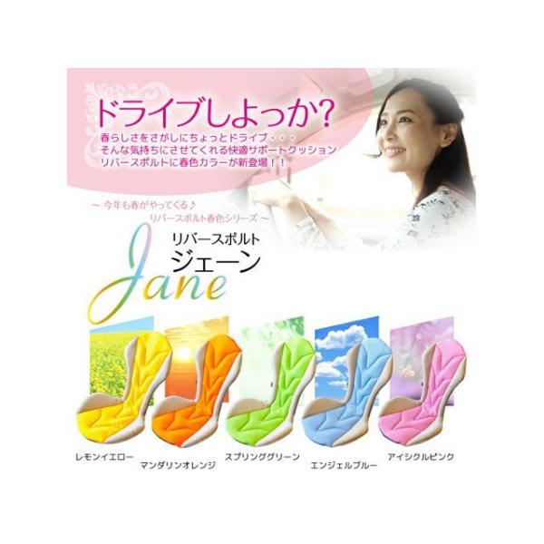 Mission Praise 内装パーツ・用品 RS-J カラー アイシクルピンク ミッションプライ...