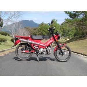 HOT LAP（ホットラップ） トレイルマフラー ヒートガードスタイル