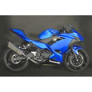BEET（ビート） ビートジャパン Ninja250 NASSERT-R Evolution Type II
