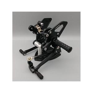 ETCHING FACTORY Z650RS ラジエター関連パーツ Z650RS（22〜）用