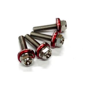 DVD 【65枚セット】 ボルト BIKERS（バイカーズ） スクリーン用 ステンレスボルト レッド ADV160