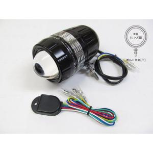PROTEC（プロテック） FLH-535 LEDドライビングライト 子機(REV