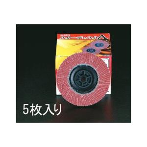 正規品／ESCO 電動工具 #240/100mm/M10x1.5 ねじ付ディスク（5枚） エスコ バイク 車 自動車 自転車