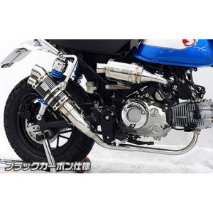 r's gear（アールズギア） WH34-S1ST CB400SF/SB (18-) ワイバンR フル