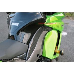 SPEEDRA NINJA1000 カウル・エ...の詳細画像1