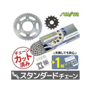 XAM ザム PREMIUMキット チェーンカラー：ゴールド Z900RS KAWASAKI