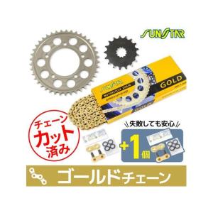 XAM ザム VALUEキット チェーンカラー：ブラック ZZR1400 ZX14