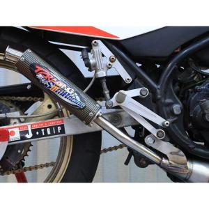 T2Racing RZ250R チャンバー本体...の詳細画像4