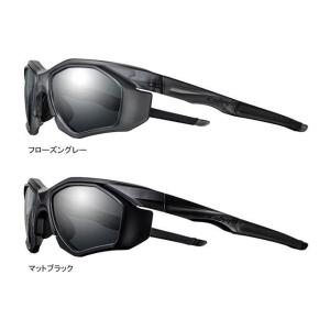 OGK KABUTO サングラス 301D ドック付き（スモークレンズモデル）/（マットブラック） オージーケーカブト（自転車）