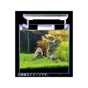 zensui アクアリウム用品 ナノレビル45...の詳細画像2