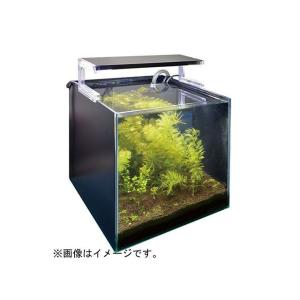 zensui アクアリウム用品 ナノレビル45...の詳細画像3